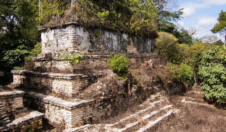 Reino maya antiguo es descubierto en patio trasero de ganadero en México Reino maya antiguo es descubierto en patio trasero de ganadero en México
