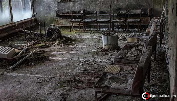 Hongos de Chernóbil «evolucionaron» y ahora viven gracias a la radiación
