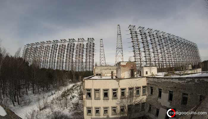 Hongos de Chernóbil «evolucionaron» y ahora viven gracias a la radiación