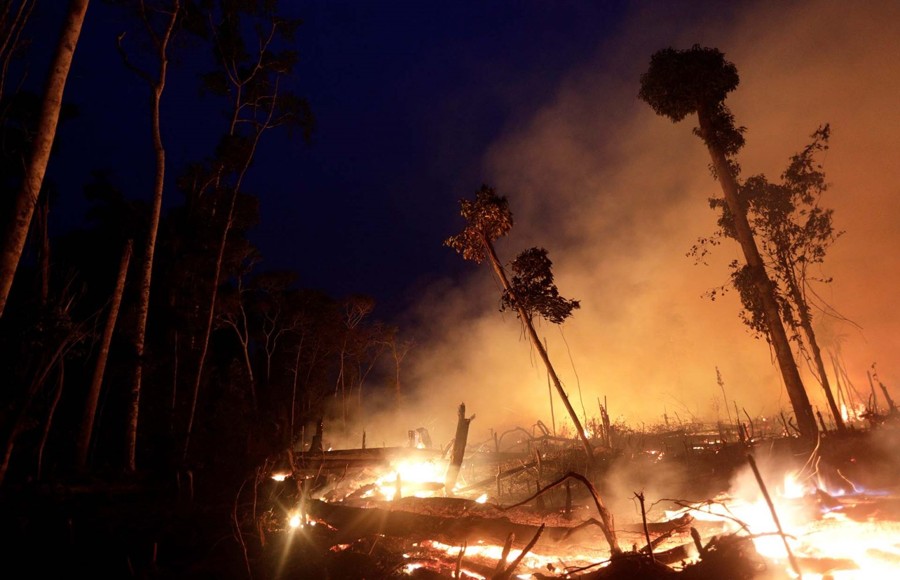 Madereros talan y queman el Amazonas mientras todos estamos en cuarentena