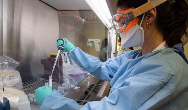Descubren anticuerpos «extremadamente eficaces» contra el coronavirus en China Descubren anticuerpos «extremadamente eficaces» contra el coronavirus en China