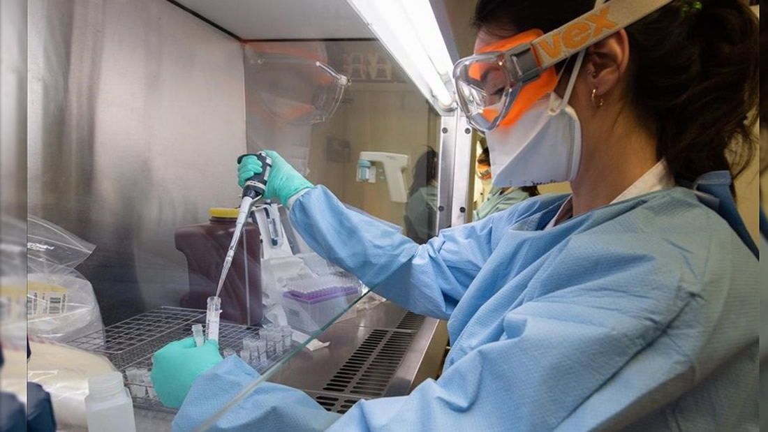 Descubren anticuerpos «extremadamente eficaces» contra el coronavirus en China