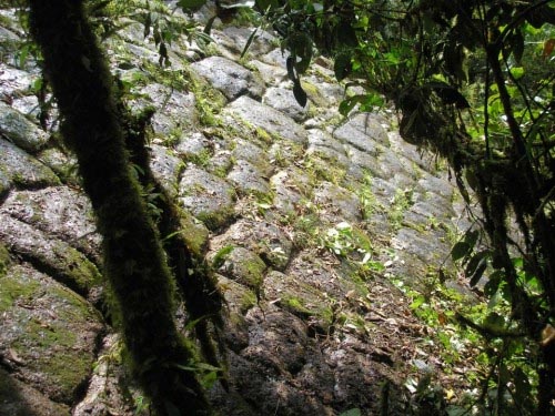 Ancestral «Ciudad de los Gigantes» hallada en el Amazonas ecuatoriano