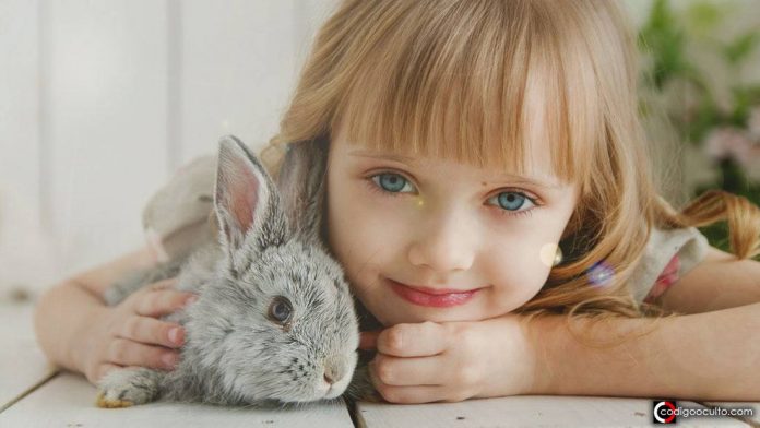 Los niños que crecen con mascotas son adultos más sensibles, comprensivos y exitosos Los niños que crecen con mascotas son adultos más sensibles, comprensivos y exitosos