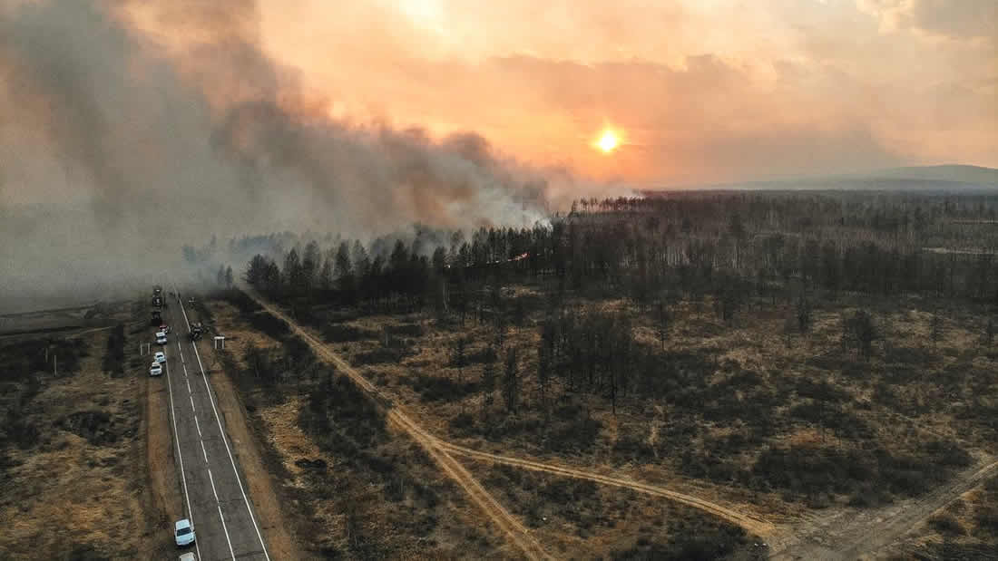 Siberia está siendo arrasada por incendios forestales en este momento
