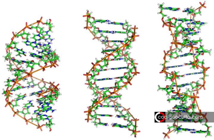 ¿Los alienígenas codificaron mensajes ocultos en el ADN humano?