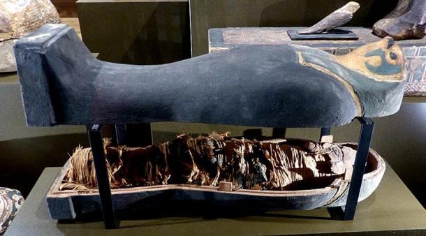 Análisis revelan momias egipcias «no humanas» de 3.000 años de antigüedad