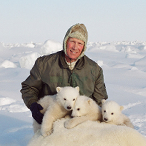 Osos polares se extinguirán antes de 2100, indica investigación