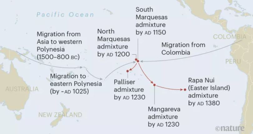 Polinesios e indígenas americanos se habrían unido hace 800 años, revela ADN