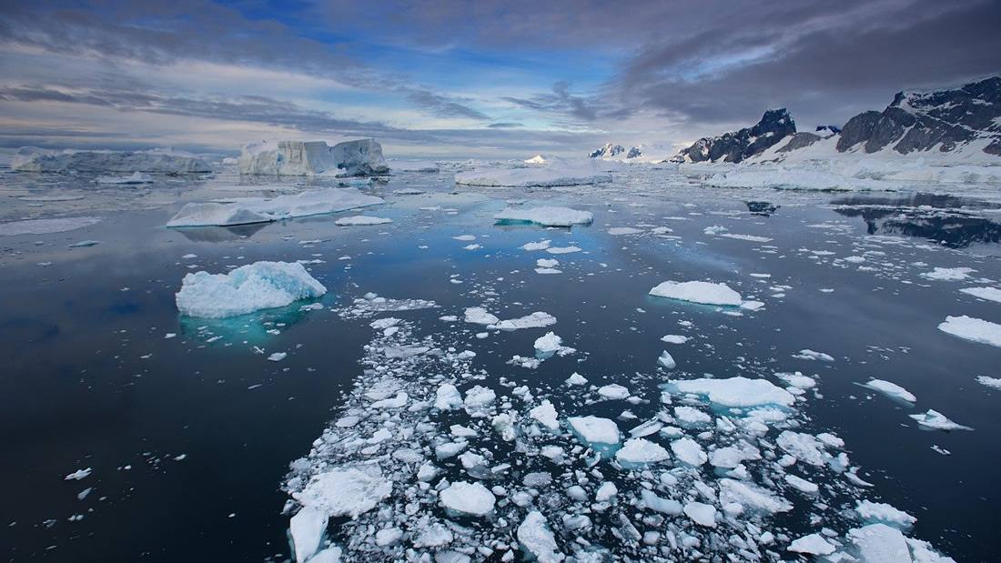 Polo Sur se calienta tres veces más rápido que el resto del planeta