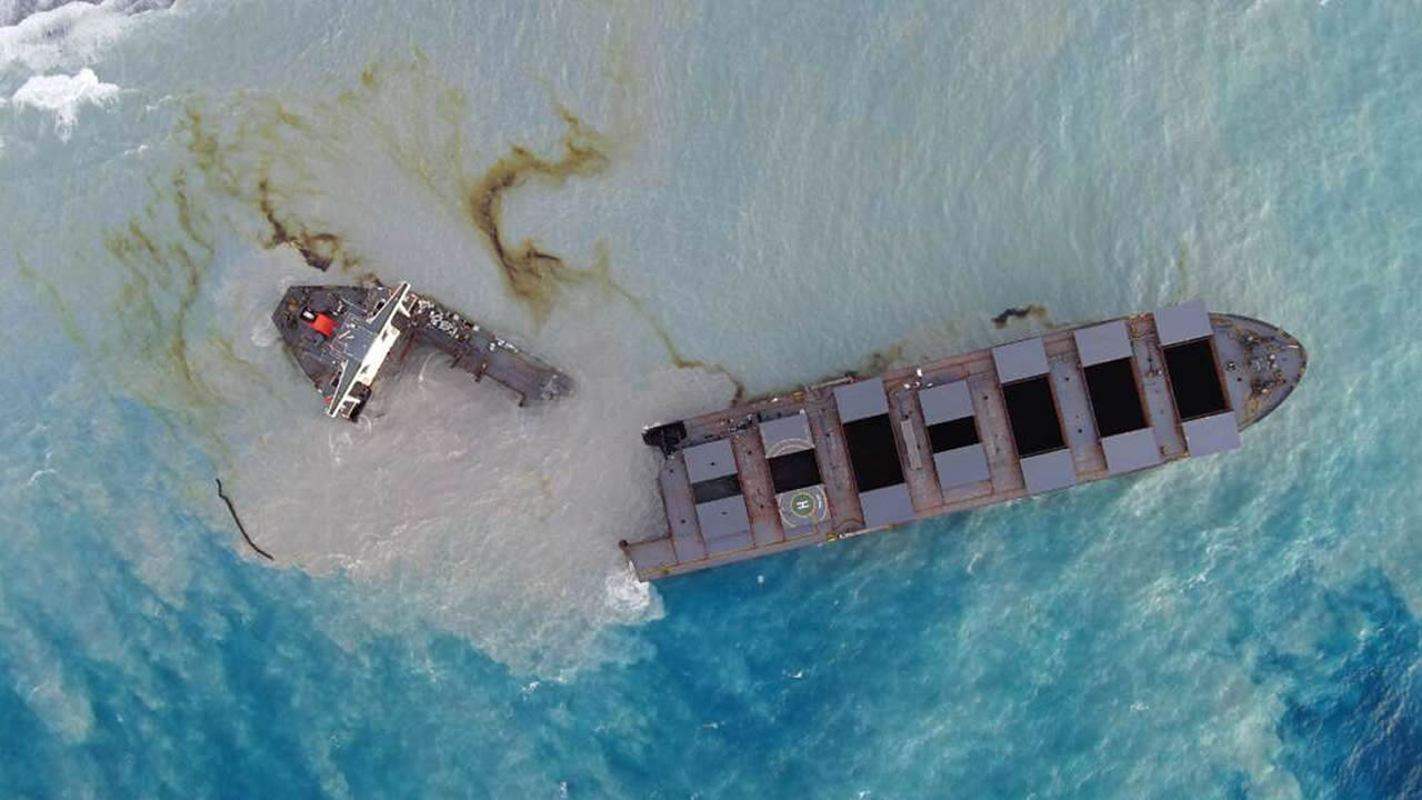Comienzan a aparecer delfines muertos en Mauricio luego del reciente derrame de petróleo