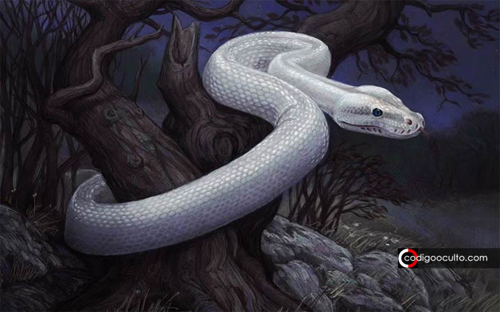 Dama Serpiente Blanca: leyenda china de un ser cambiaforma «reptil» de la época medieval