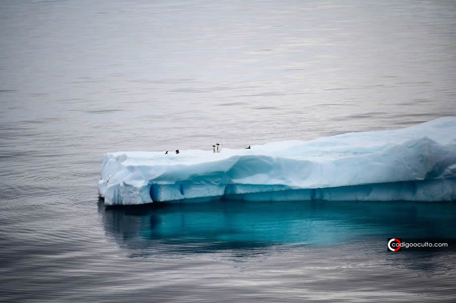 Derretimiento del hielo antártico se muestra irreversible incluso si cumplimos los objetivos climáticos