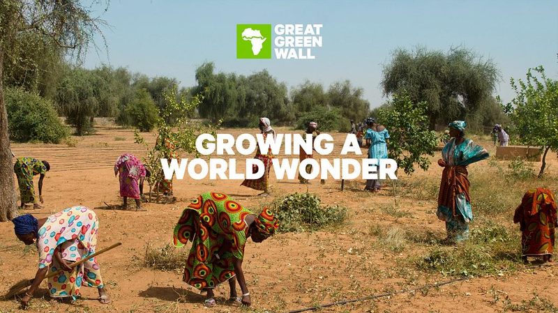 La Gran Muralla Verde de África: ¿la próxima maravilla del mundo?
