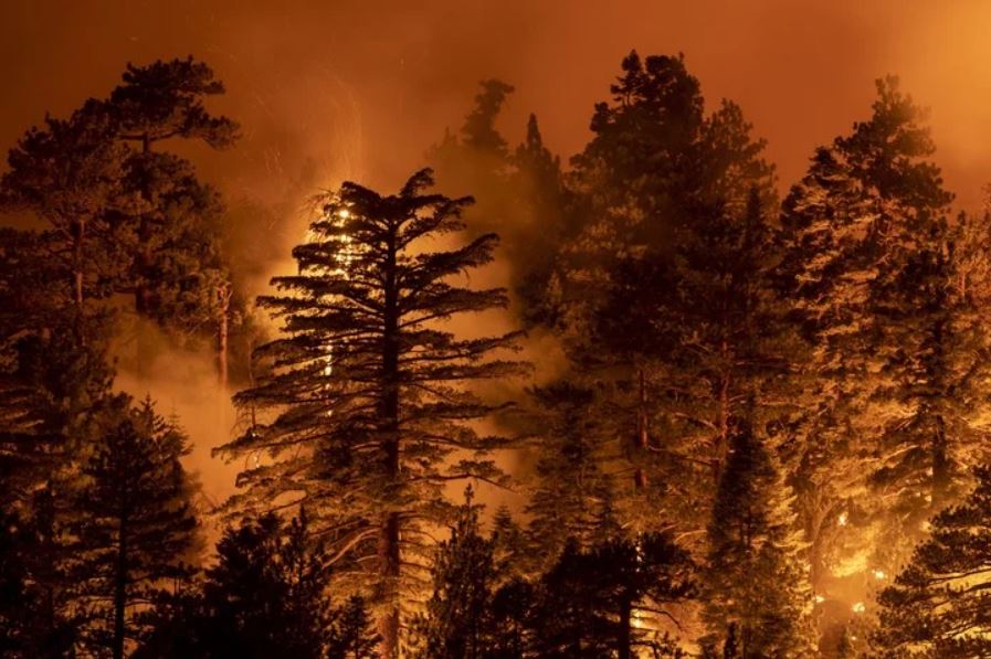 Incendios forestales incontrolables, aire tóxico y agua contaminada: cambio climático se respira en California