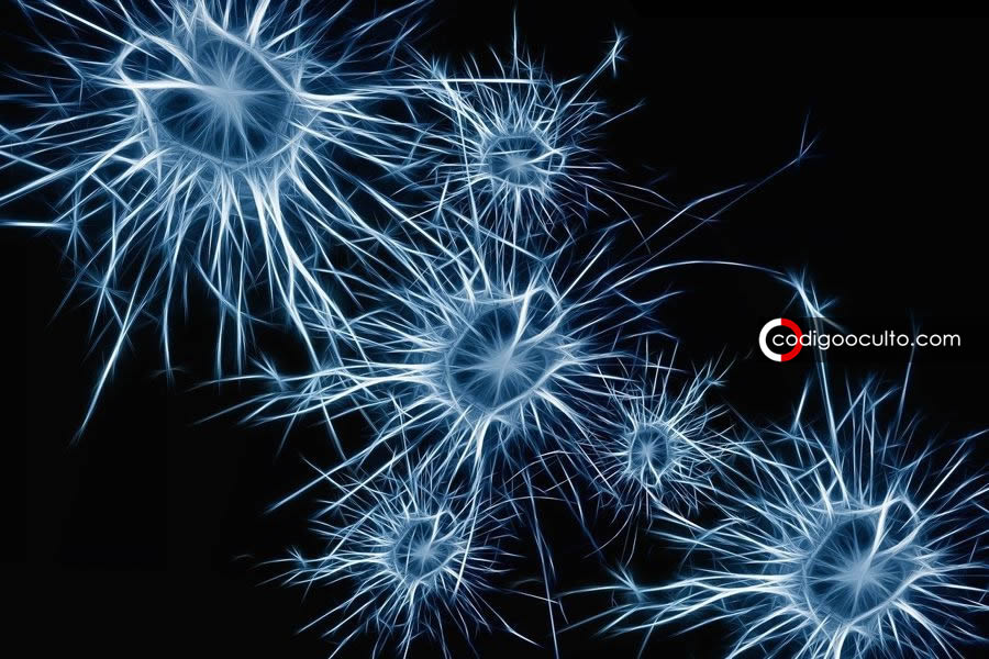 Nuestro universo podría ser una red neuronal colosal, afirma físico