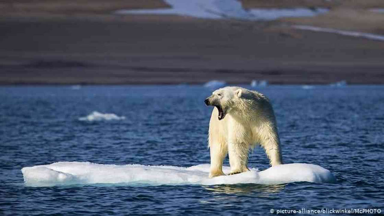 Por primera vez, el hielo marino del Ártico no ha vuelto a congelarse a finales de octubre