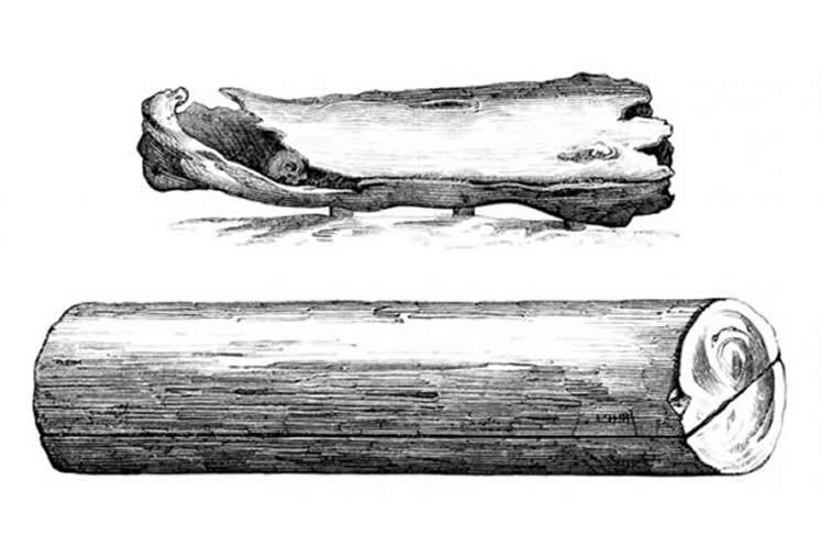 Gigante de Glastonbury: ¿a quién pertenecían estos enormes huesos?