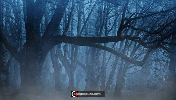 Hyldemoer: el espíritu guardián de los árboles