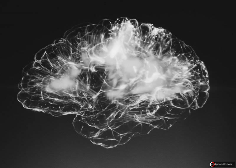 El cerebro humano tiene extrañas similitudes con el universo, dicen científicos