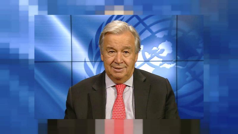 Humanidad debe detener su «guerra suicida» contra la naturaleza, dice Secretario General de la ONU