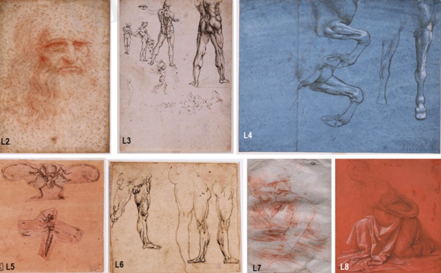 Los dibujos de Leonardo da Vinci tienen microbiomas únicos, encuentra un estudio