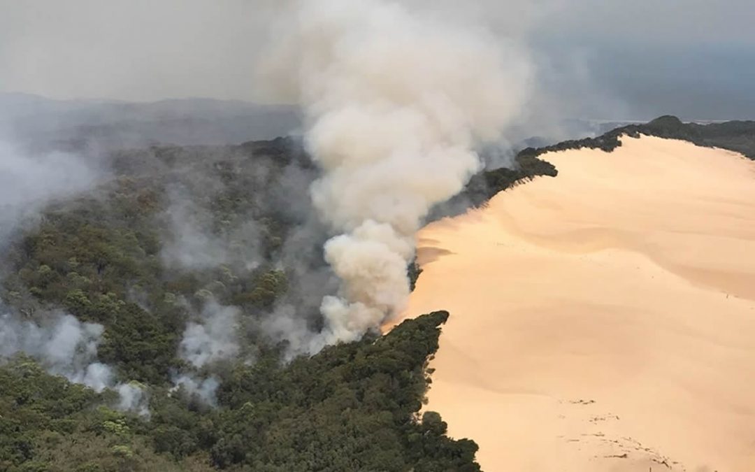 Incendios forestales en Australia arrasan isla declarada patrimonio
