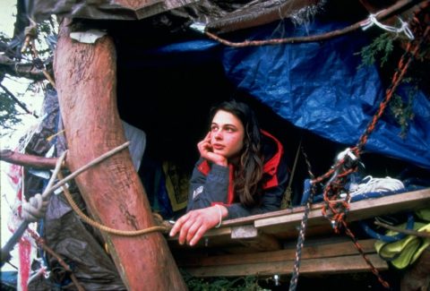Julia Hill, la mujer que vivió dos años en un árbol para evitar que lo