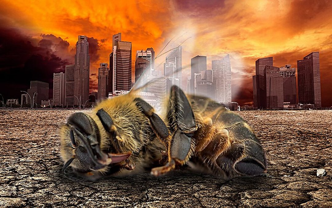 Naturaleza bajo asedio: el Apocalipsis de los insectos nos afectará a todos