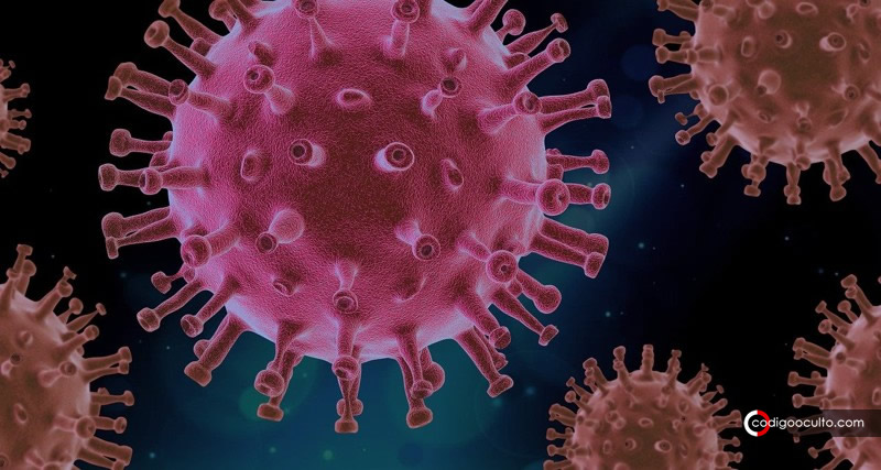 Otro virus preocupa a Asia: científicos trabajan para evitar nueva pandemia