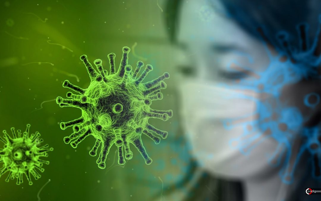 Nipah, el otro virus que preocupa a Asia. Científicos trabajan para evitar nueva pandemia