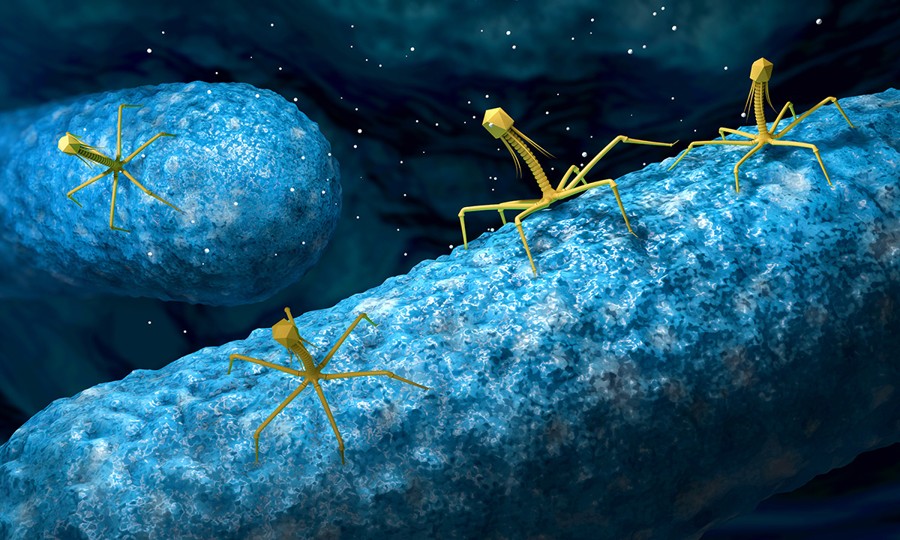 Representación artística de bacteriófagos