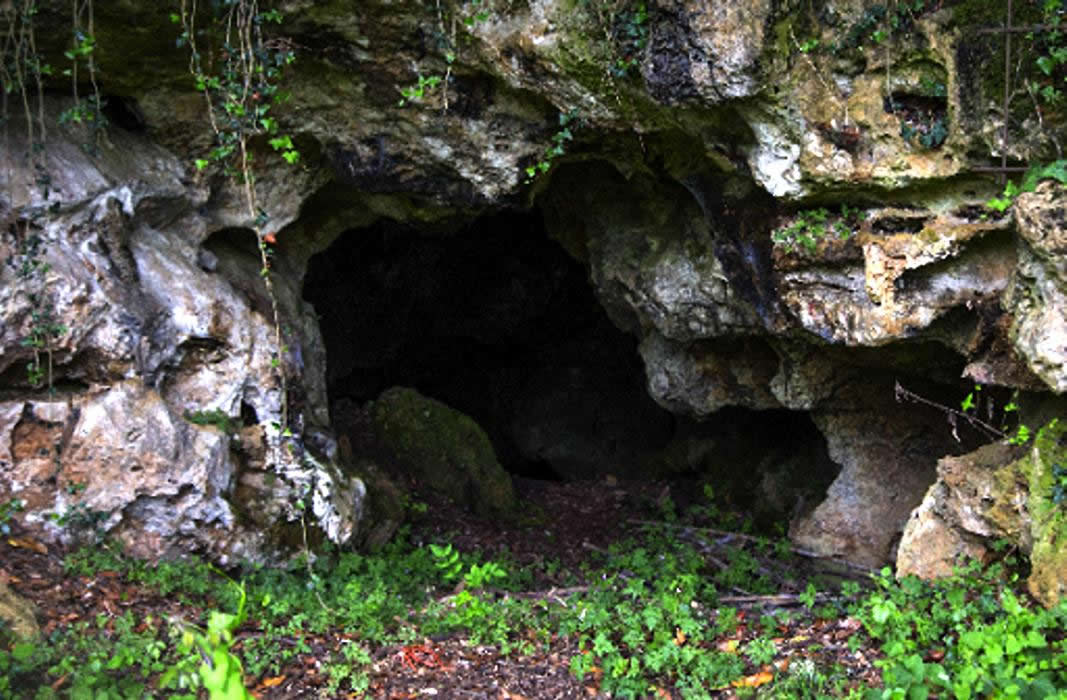 El Enigma de la Entrada Oculta a la Cueva de Lyobaá en México, la Caverna de la Muerte
