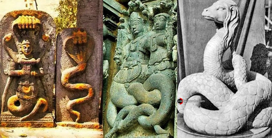 Dioses serpiente en antiguas civilizaciones y mitología