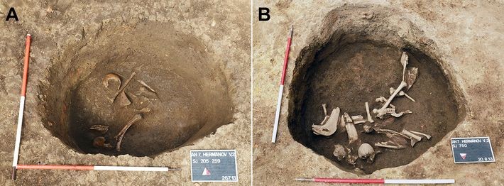 Excavaciones de restos humanos con cráneo alargado