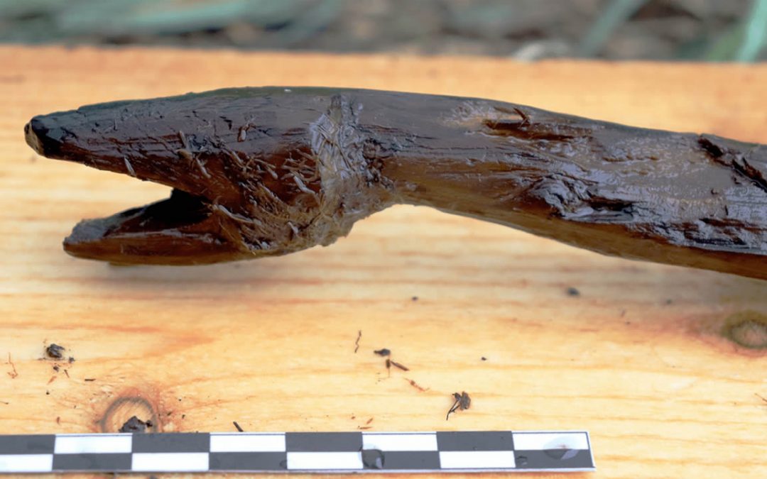 El Bastón de Serpiente de 4.400 años hallado en Finlandia: 10 datos interesantes