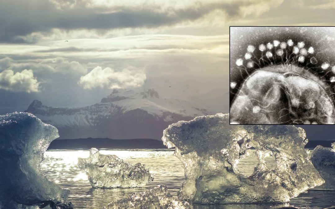 Identifican antiguos virus de 15.000 años en derretimiento de glaciares tibetanos