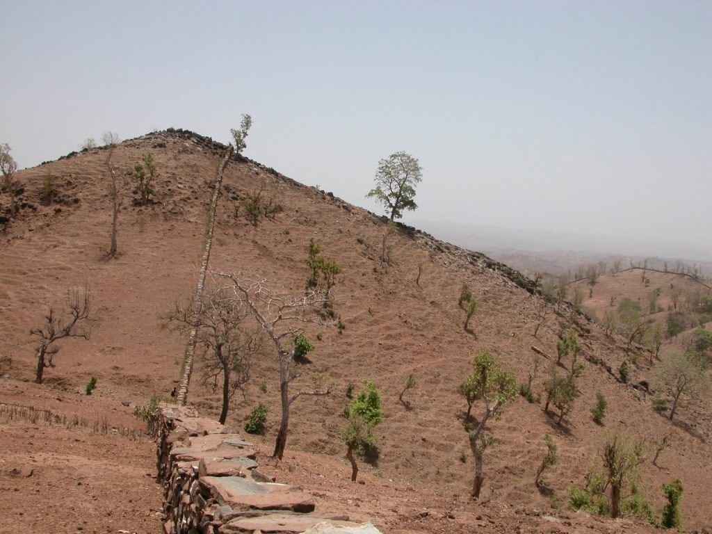 La desertificación amenazaba vasta áreas de terreno de Karech