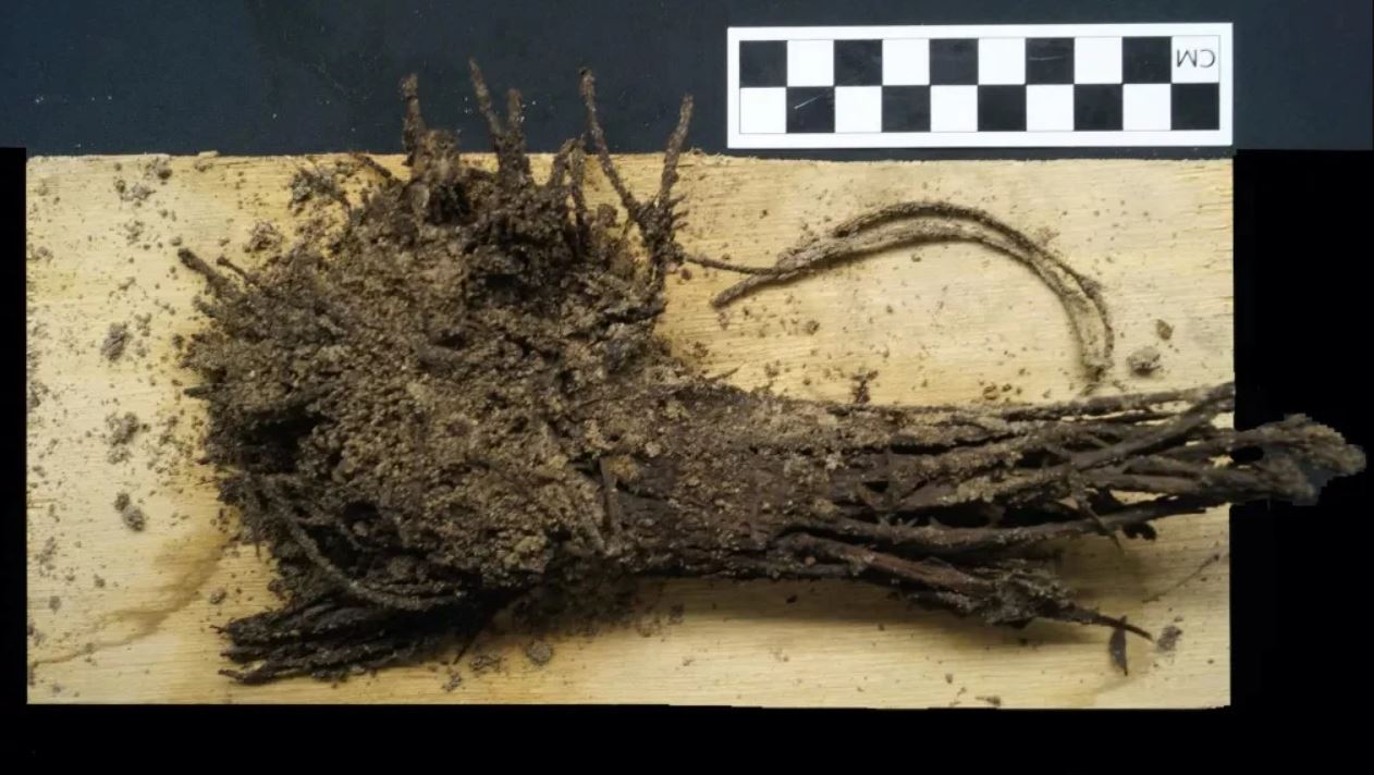 El ramo de flores, que sobrevivió a una hoguera hace 2.000 años