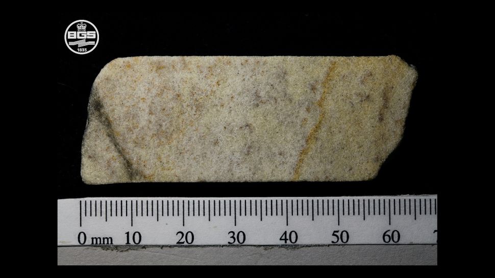 Se utilizó una muestra de 7 centímetros de largo del núcleo de Stone 58 para análisis detallados