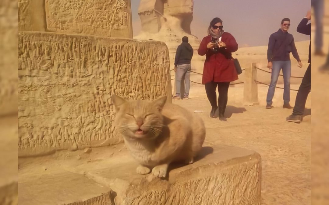 ¿Por qué los gatos eran sagrados en el antiguo Egipto?