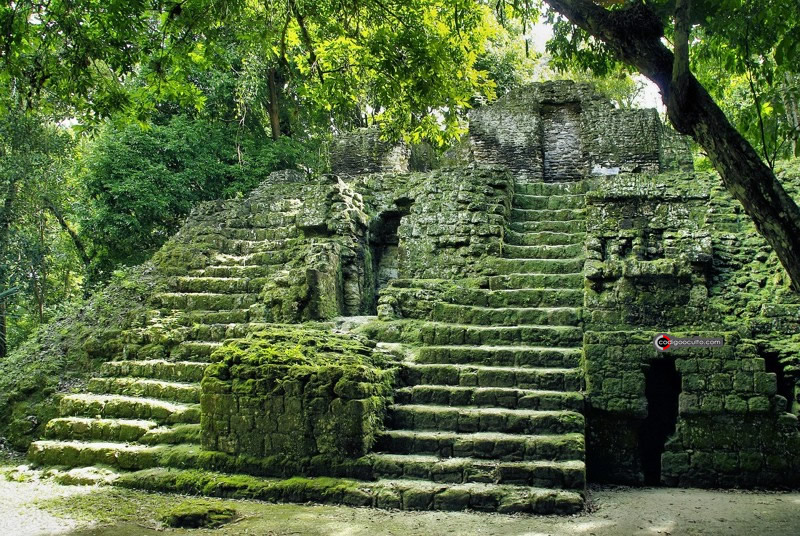 Civilización maya