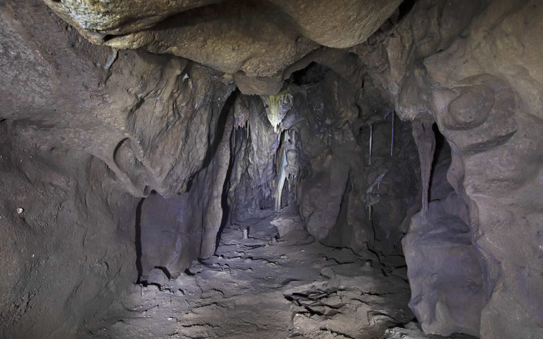 Hallan cámara secreta en cueva que pudo ser el último escondite de los neandertales