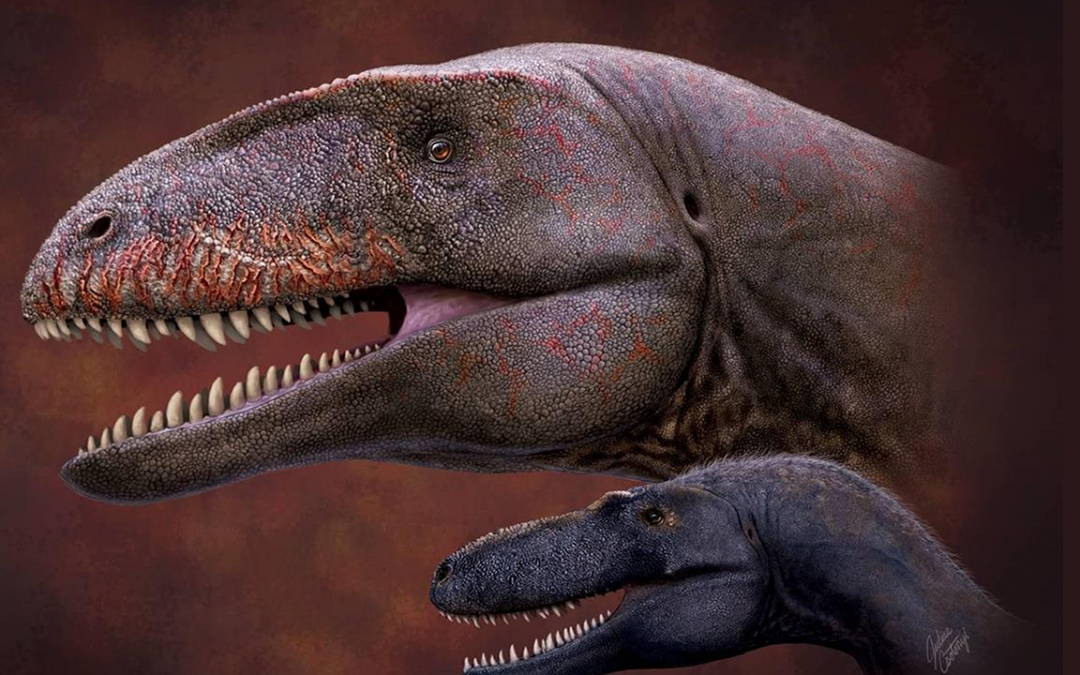 Descubren un dinosaurio 7 millones de años anterior al T. Rex y más aterrador