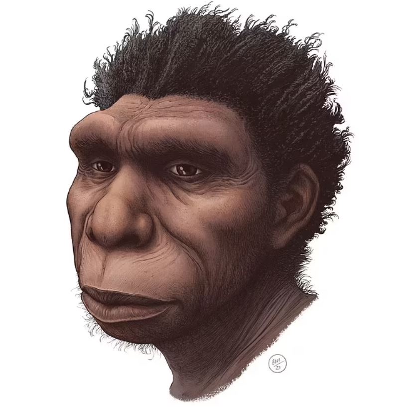 Se ha descubierto una nueva especie de humano antiguo en África que los expertos creen que fue un antepasado directo de los humanos modernos