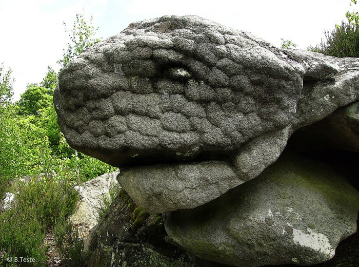 Extraña y enorme roca con apariencia de una tortuga