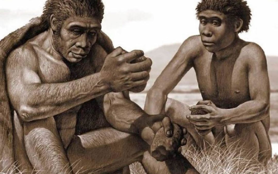 Homo bodoensis: una nueva especie humana antigua que vivió en África hace 500.000 años
