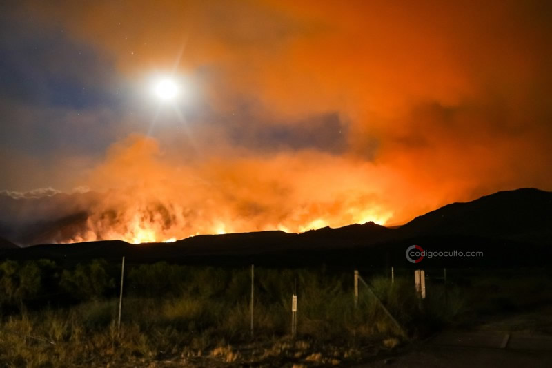 Incendio forestal, uno de los problemas que más aquejó al mundo debido al aumento de las temperaturas