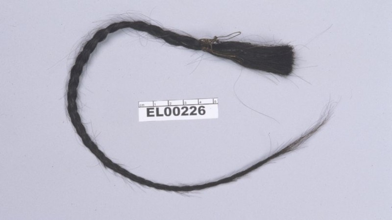 Mechón de cuero cabelludo de Toro Sentado, del que se tomó la muestra de cabello que se analizó