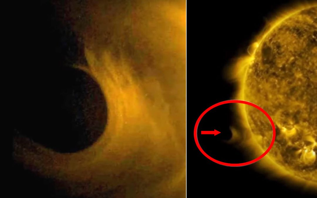 Vuelve el “Succionador de Soles”: nueva anomalía detectada junto al Sol (VIDEO)
